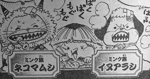 ワンピース このカッパかわいい ねいろ速報さん