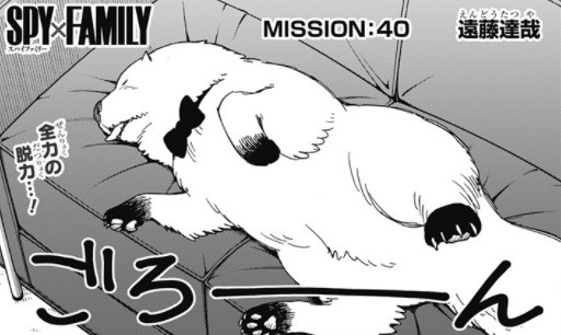 Spy Family スパイファミリー 40話 感想 死因ヨルさんの飯 ねいろ速報さん