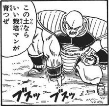 ナッパ「この土ならいいサイバイマンが育つぜ」←戦闘民族の癖に