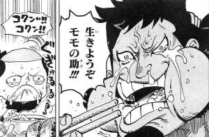 悲報 ワンピースの錦えもんさん ねいろ速報さん