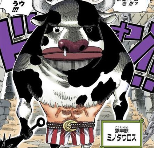 ワンピース ゾオンの覚醒がこれとか ねいろ速報さん