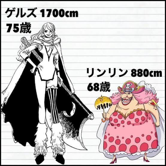 ワンピースゲルズ】ワンピース ジグソーパズル352ピース[ONE PIECE