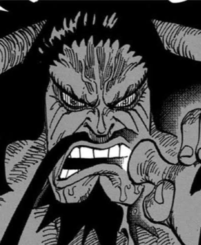 ワンピース カイドウとかいう最強生物 ねいろ速報さん