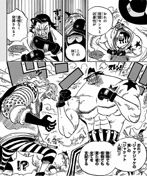 ワンピース ジャケジャケってどう使うのが一番いいんだ ねいろ速報さん