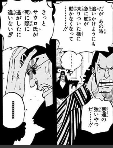 ワンピース 青キジごっこ用 Saluut Ru