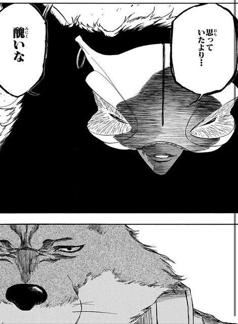 狛村 左陣 | BLEACHウィキ | Fandom