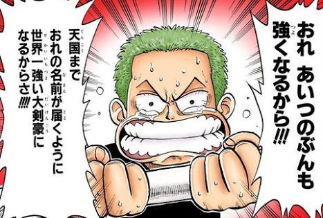 ワンピース 麦わらの一味でゾロだけ過去がショボすぎる件 ねいろ速報さん