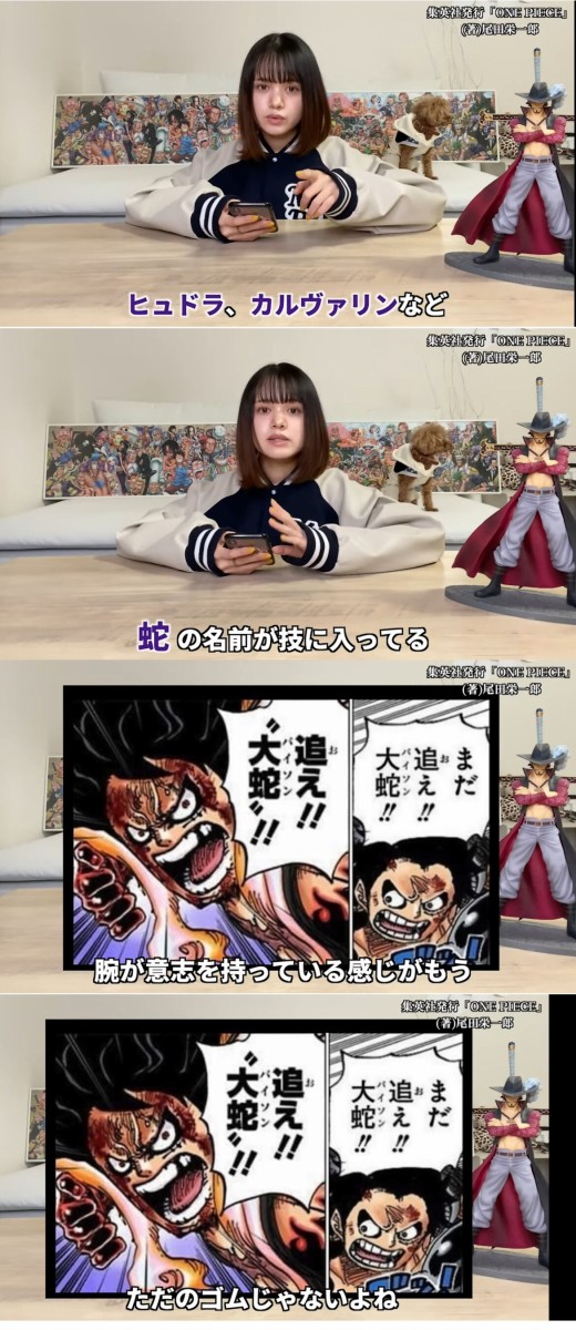 漫画 ｏｎｅ ｐｉｅｃｅ ゴムゴムの実 の正式名称は 過去の戦闘描写にもヒントがあった アニゲーnews