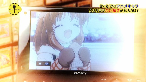 Nhk 日本のあのアニメの影響でアメリカで たいやき が大ブーム あにれこ