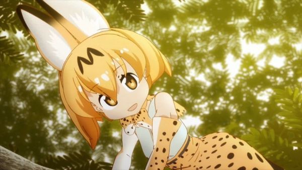 けものフレンズ で人気が出たとくしま動物園のサーバルちゃんが死んでしまう あにれこ