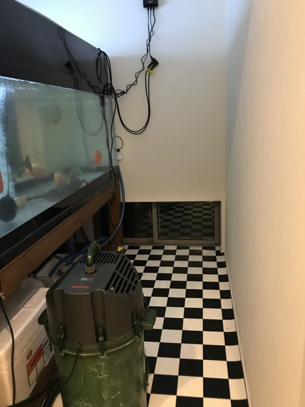 我が家の水槽部屋 お魚がいる空間のblog