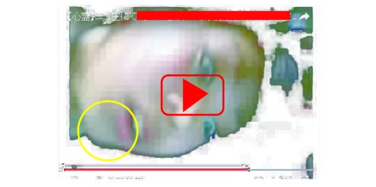 激ヤバ ニコ生史上最悪の放送事故発生 配信中の少女に何が起こったのかwwww 閲覧注意 面白ニュース館