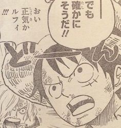 Onepiece ワンピース 第857話 ルーク 漫画やアニメのネタバレ