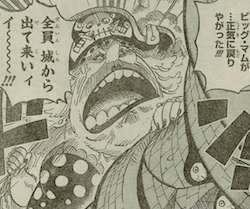 ワンピース 第869話 籠城 漫画やアニメのネタバレ