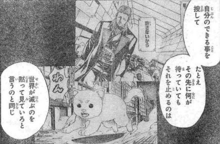 銀魂 651訓 手を借りるのは肉球のある獣にしておけ 漫画やアニメのネタバレ