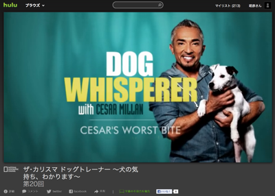 スマホで見るhulu シーザー ミラン犬のしつけ動画が登場 スマホ初心者はiphoneを選ぶと楽しくなる