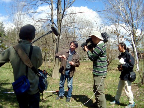 アリの巣で暮らす雪虫の撮影 ありんこ日記 Antroom