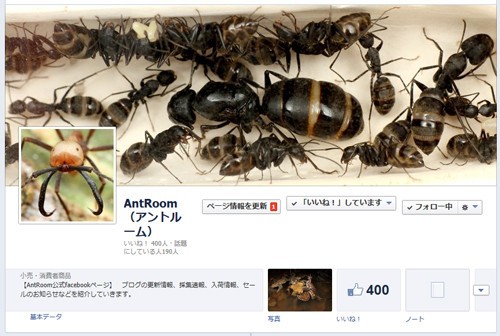 AntRoomのFacebookページ : ありんこ日記 AntRoom