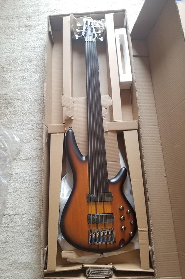 6弦フレットレスベース Ibanez SRF706 : アンツァンドカーメラズ