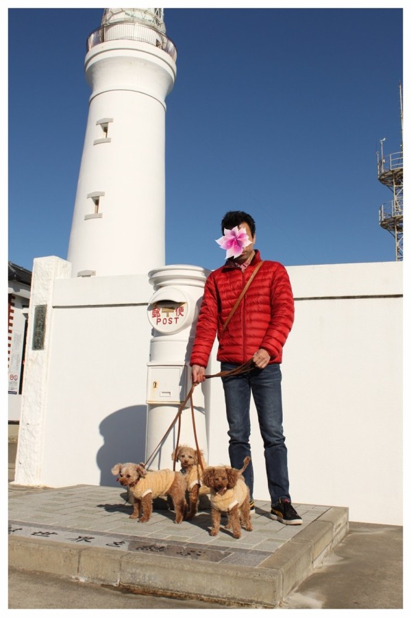 犬吠埼と屏風ヶ浦 千葉県犬連れドライブ あんずの休日