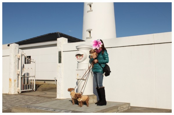 犬吠埼と屏風ヶ浦 千葉県犬連れドライブ あんずの休日
