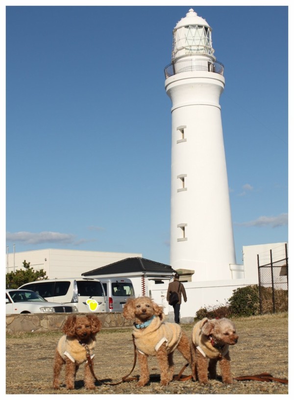 犬吠埼と屏風ヶ浦 千葉県犬連れドライブ あんずの休日