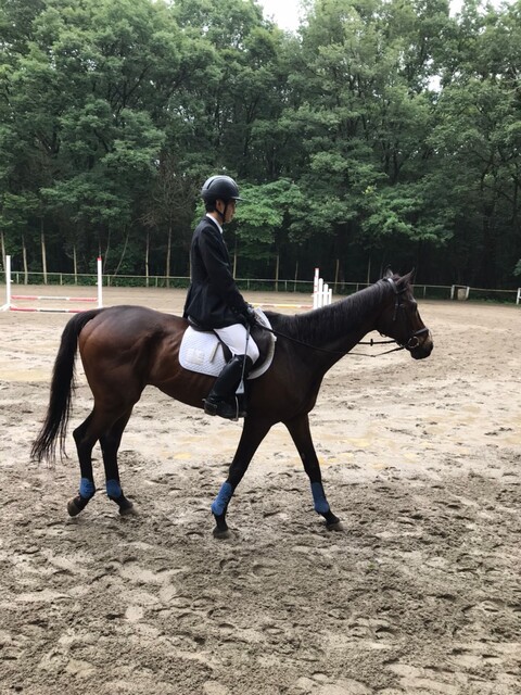 ナス サマーホースショー21 結果報告 乗馬部ログ