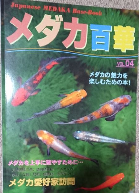 四国３/４周のメダカ旅 その2 ～伊豫めだかさん編～ : 岡崎葵メダカのつぶやき