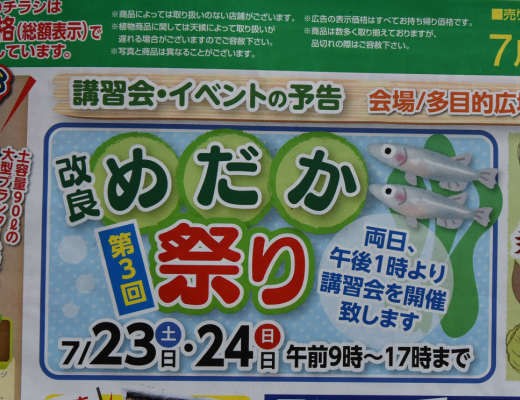 7月のメダカ旅 その1 全体紹介編 岡崎葵メダカのつぶやき