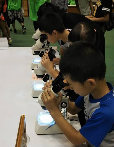 岡崎市の理科作品展 岡崎葵メダカのつぶやき