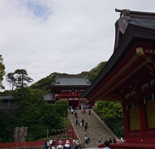 4月の関東メダカ旅 その5 鎌倉と晩酌編 岡崎葵メダカのつぶやき