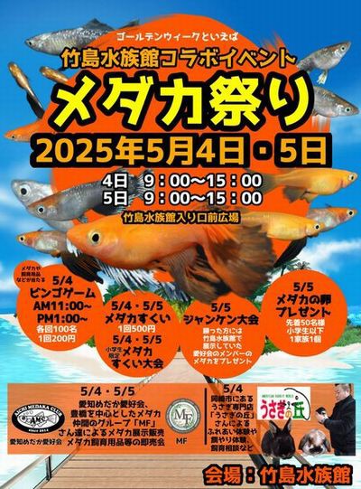 5月4＆5日は竹島水族館前の広場で会いましょう！ : 岡崎葵メダカの 