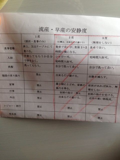 切迫流産 切迫早産中の安静度合い 暇はキライ バセドウ病 アイソトープ 切迫早産の記録