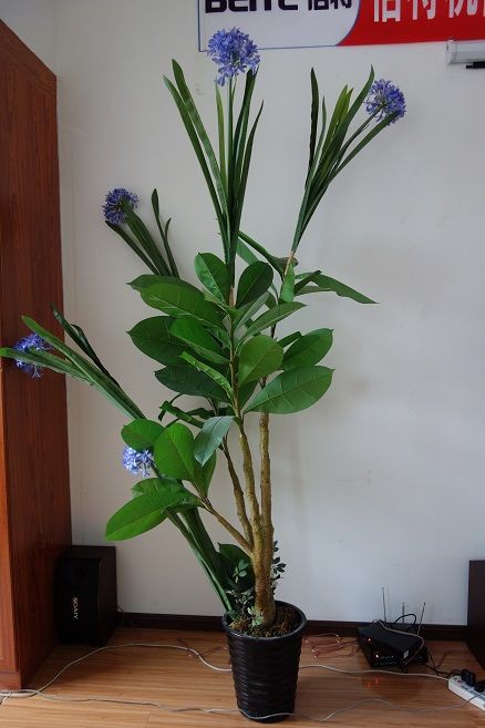 驚異的に気持ち悪い植物 元トヨタマンの目