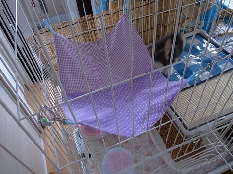 ケージ用にゃんもっく あおきいろ帳