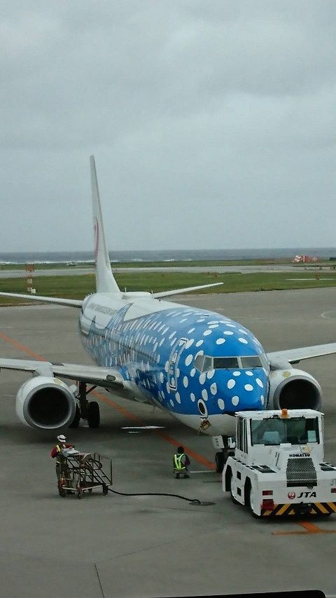 ボーイング737 800 jta ジンベエジェット お風呂とグルメと観光とその他諸々 ボーイング737 800 jta ジンベエジェット お風呂とグルメと観光とその他諸々