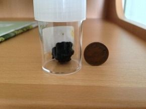 胆石をはじめて見ました 欠陥住宅って何