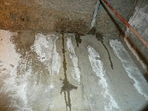 白華現象について 欠陥住宅って何