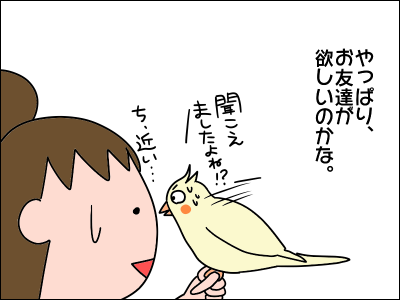 友達が欲しい オカメインコ 絵日記でございます Powered By ライブドアブログ