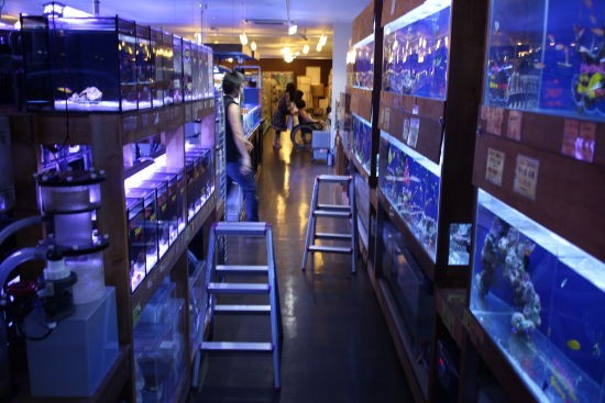 アクアテイラーズ尼崎つかしん店 ハートスタッフｂｌｏｇ