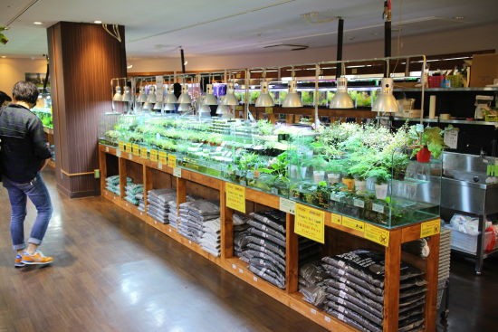 アクアテイラーズ尼崎つかしん店 ハートスタッフｂｌｏｇ