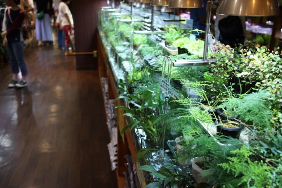 アクアテイラーズ尼崎つかしん店 ハートスタッフｂｌｏｇ