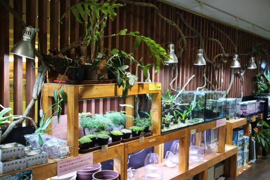 アクアテイラーズ尼崎つかしん店 ハートスタッフｂｌｏｇ