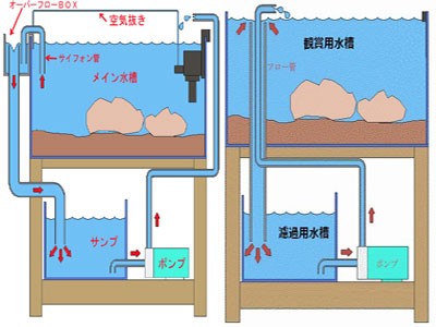 多段連結水槽 多段連結水槽 連結水槽の方法でオススメありますか アクアリウム速報