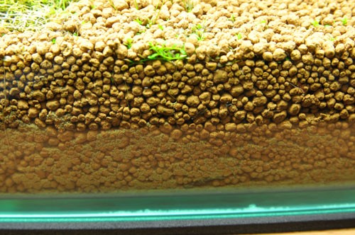 ソイルの種類が多すぎてどれが良いのか分からない アクアリウム情報 アンテナサイト アクアリウムの輪