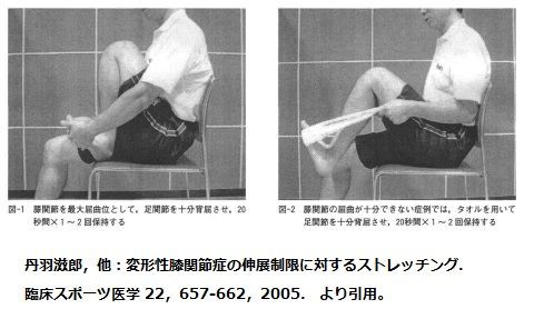 メディカルストレッチ マジックストレッチ 理学療法士 ｐｔ だって 人間だもん