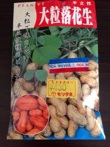 落花生の種 Aratakaのブログ