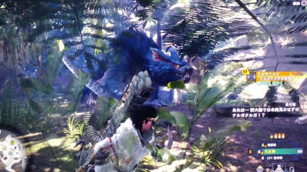 朗報 Mhwアイスボーン 第2回ベータテストにナルガクルガ登場 まさかのサプライズでスレ大盛り上がりｗｗ Ps5速報