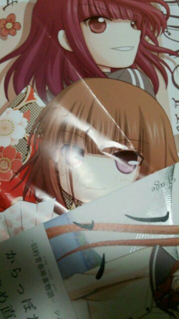 シノハユと咲日和買ってきましたなど 何の変哲もない咲の地名紹介