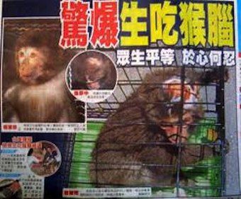 カニバリズムも 変異型のクロイツフェルトヤコブ病 Vcjd 亂盂酒靈 烏朧繻怜衣 Arena Yokohama 10h のblog